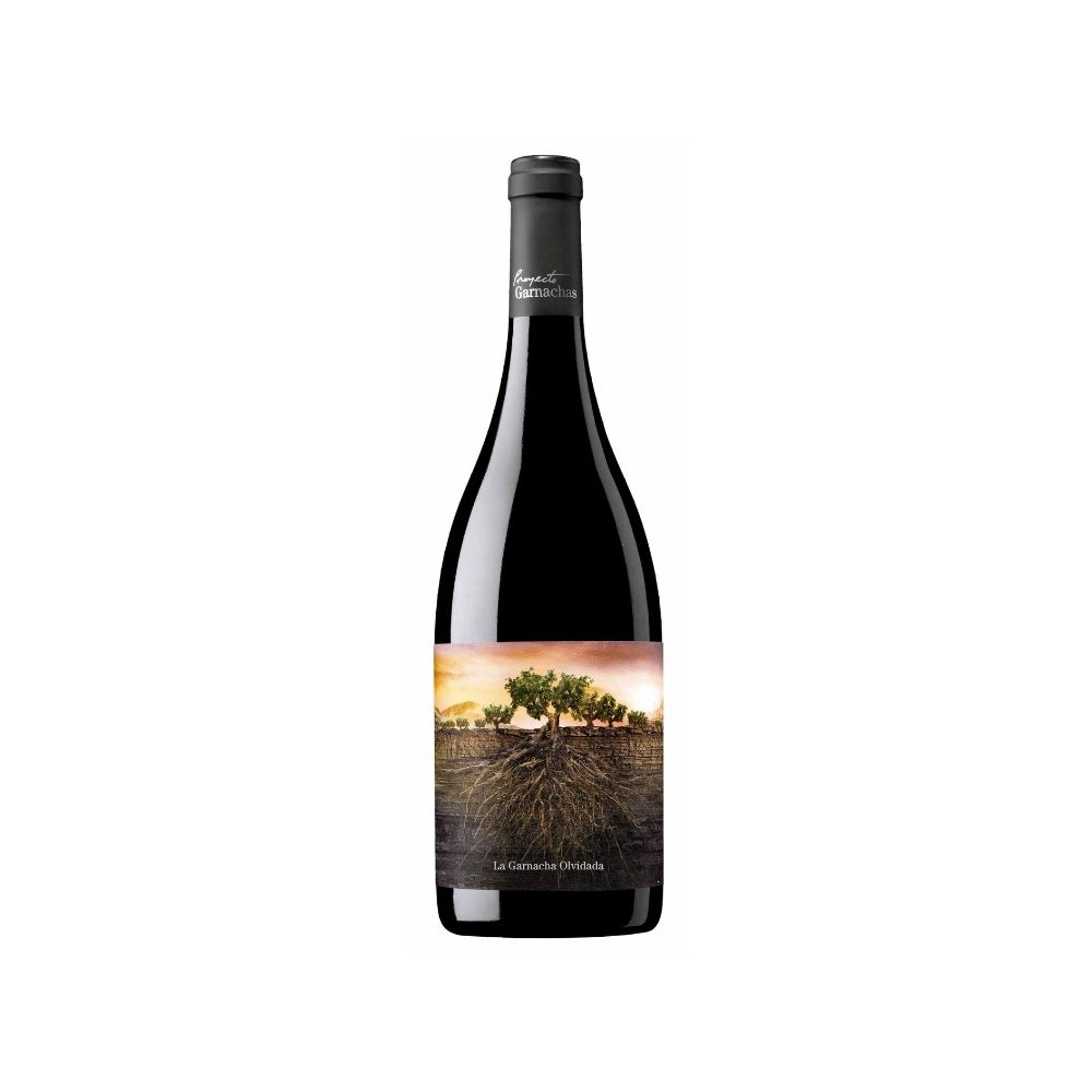 VINO GARNACHAS DE ESPAÑA OLVIDADA DE ARAGON 6/750 - GARNACHAS DE ESPAÑA - Compralo en CorinneRegalos.com
