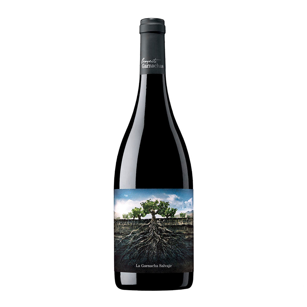 VINO GARNACHAS DE ESPAÑA SALVAJE DEL MONCAYO 6/750 - GARNACHAS DE ESPAÑA - Compralo en CorinneRegalos.com